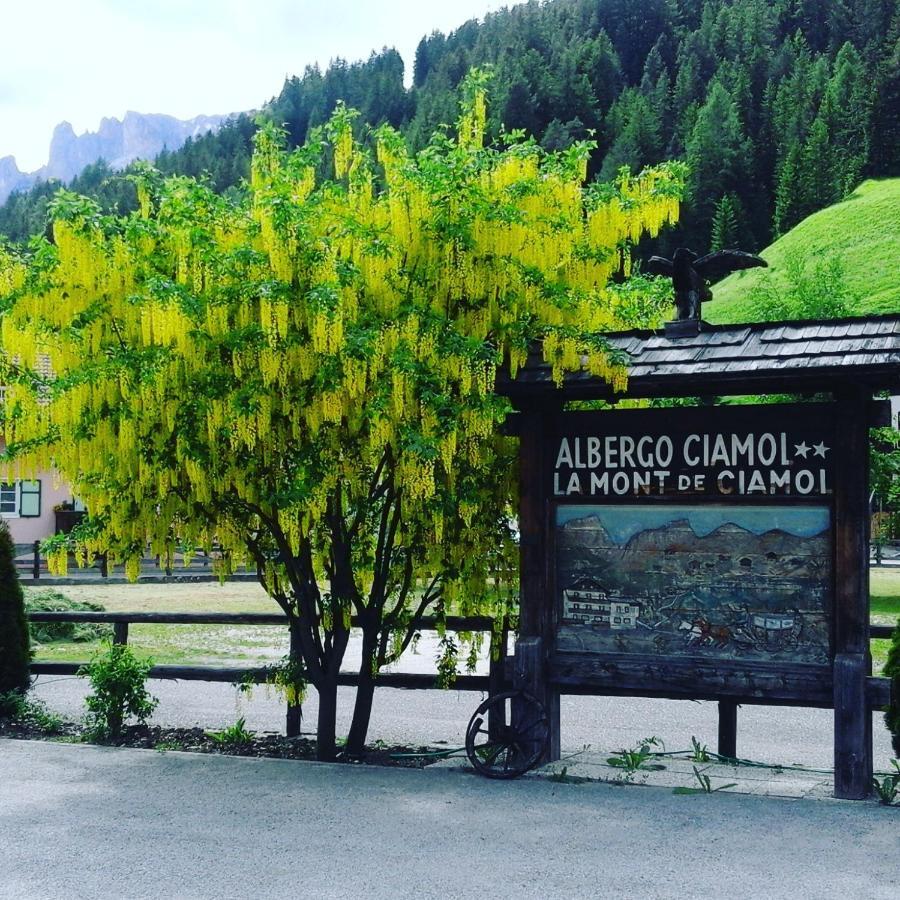 Hotel Ciamol Campitello di Fassa Exteriör bild